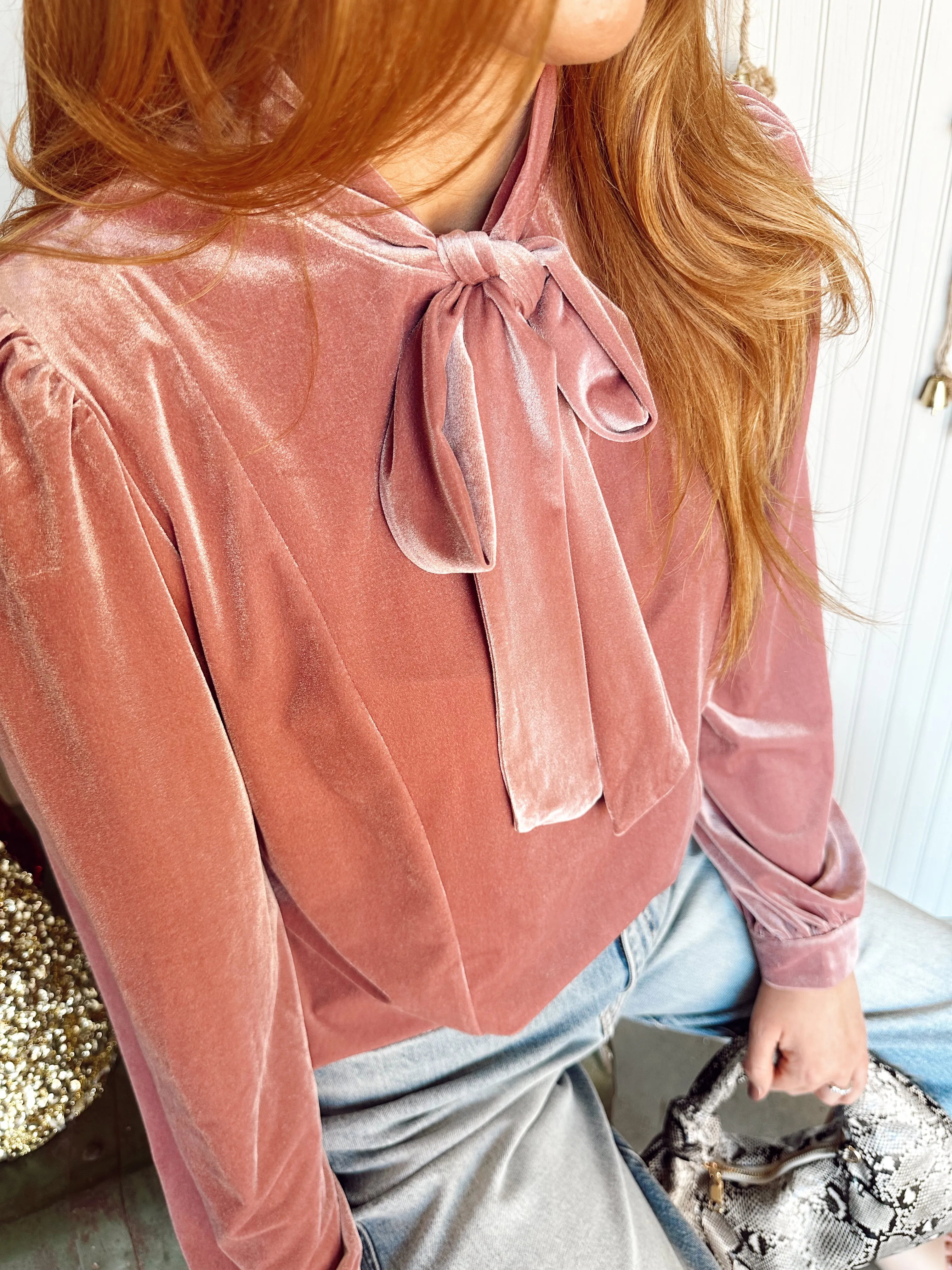 Bellame Velvet Tie Neck Blouse