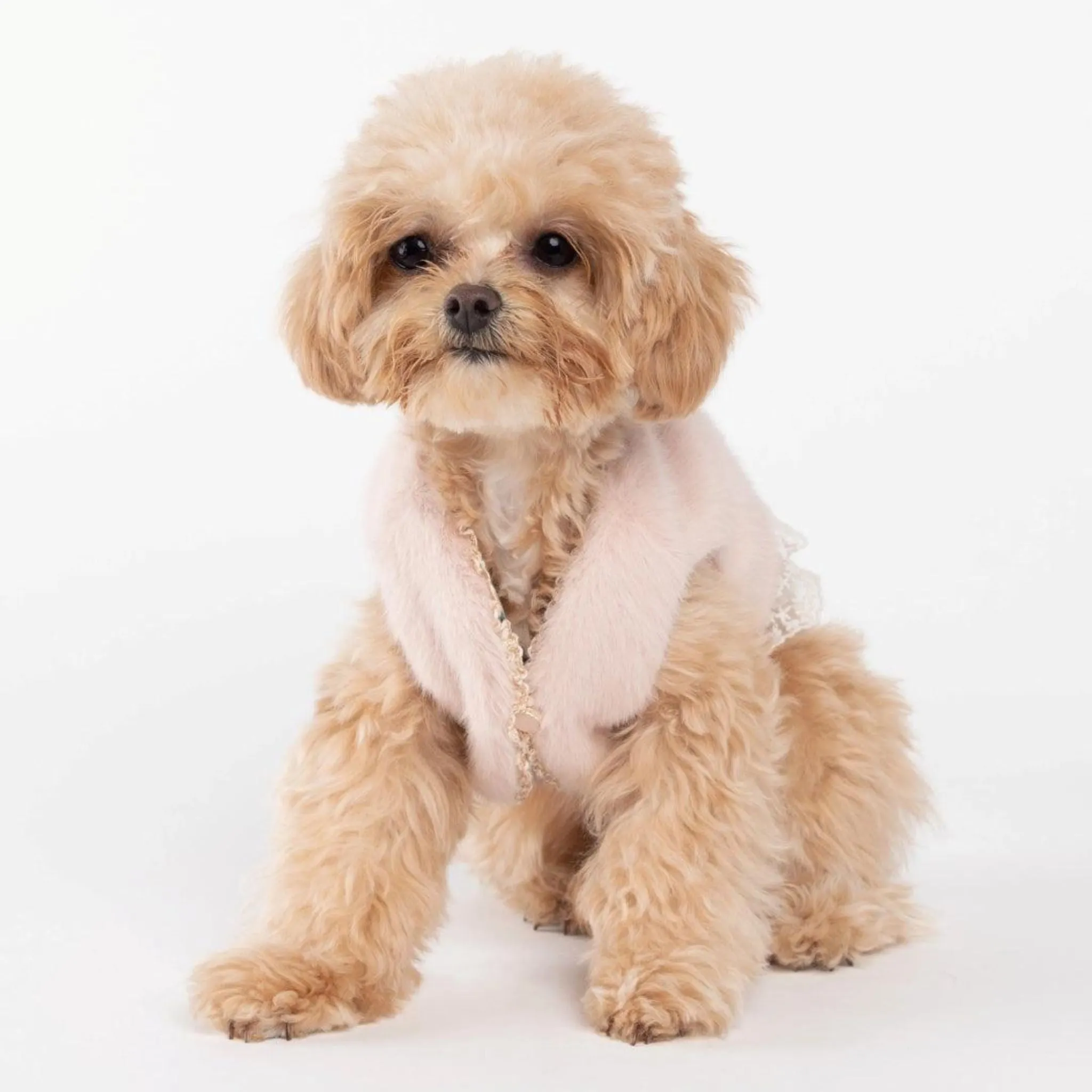 NEW MIMINKO PINK FAUX FUR VEST WITH LACE FOR PETS